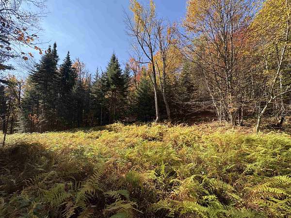 1.3 Acres of Land for Sale in Newark Town, Vermont