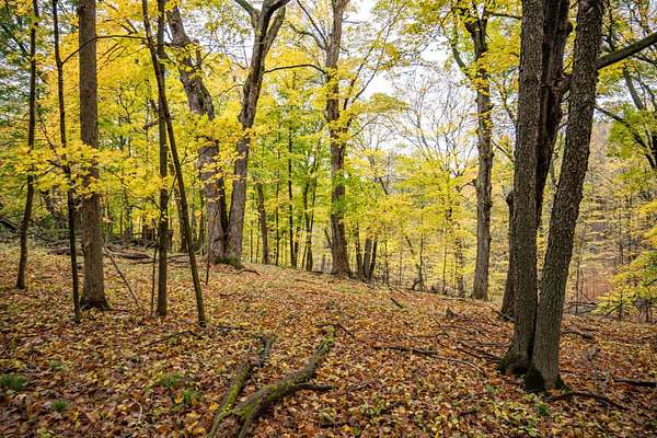 0.58 Acres of Residential Land for Sale in La Valle, Wisconsin