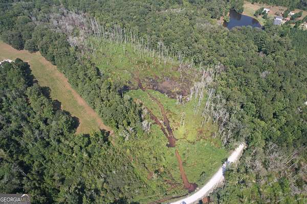 46.2 Acres of Recreational Land for Sale in Griffin, Georgia