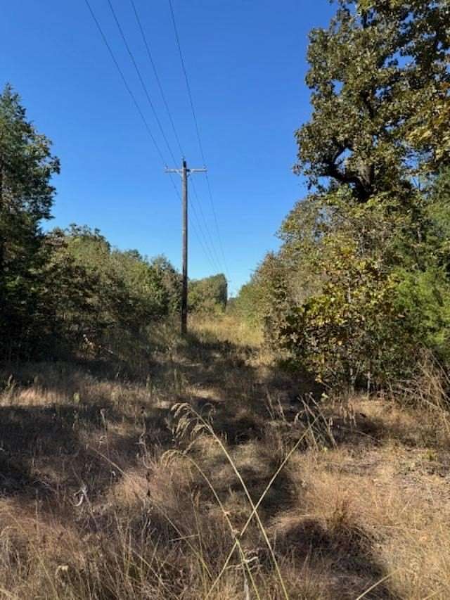 87 Acres of Recreational Land for Sale in Van, Texas
