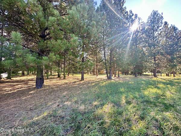 0.93 Acres of Residential Land for Sale in Moyie Springs, Idaho