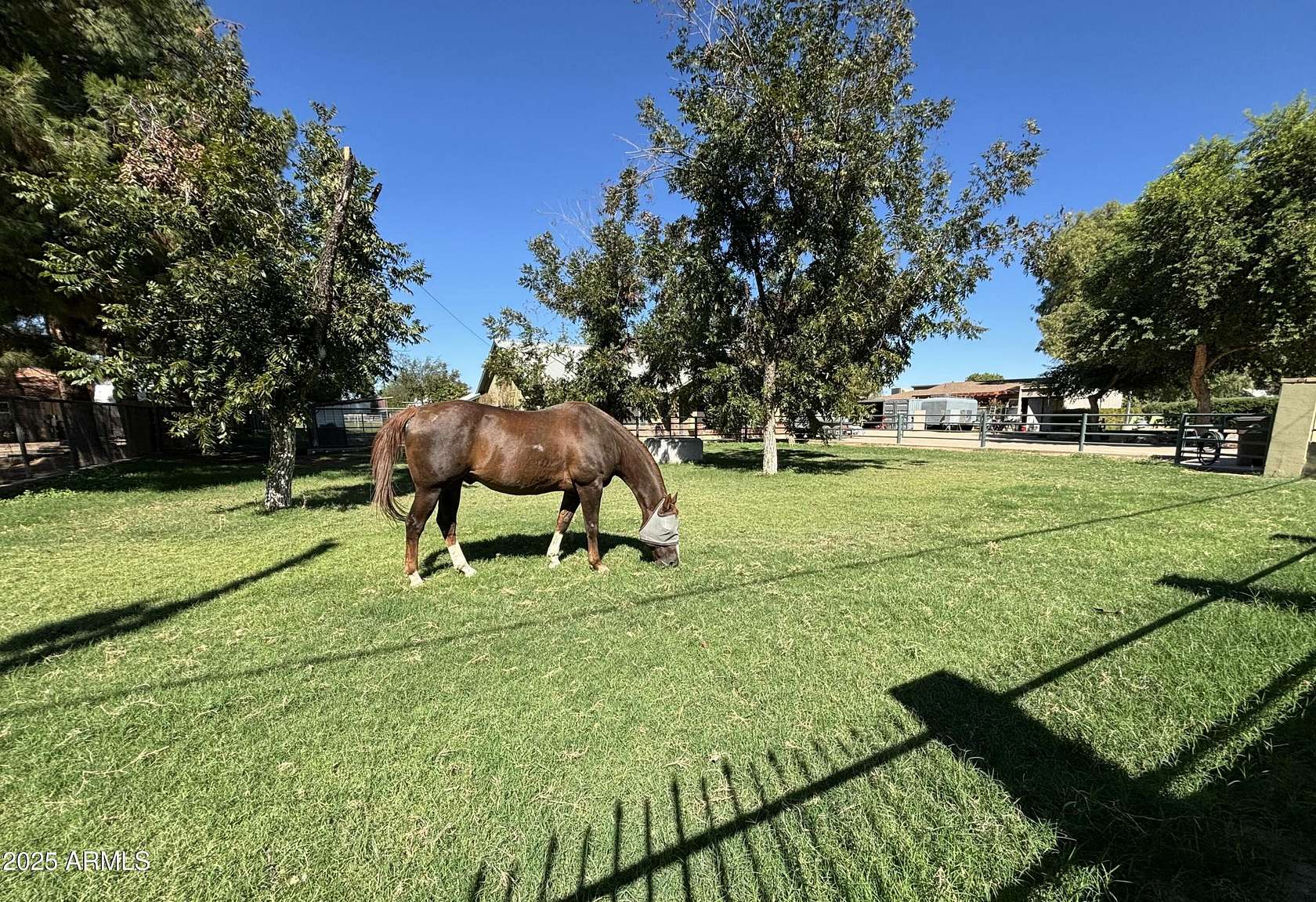 2.33 Acres of Residential Land with Home for Sale in Queen Creek, Arizona