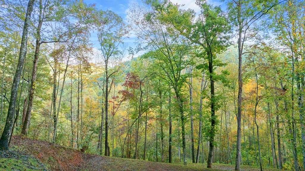 7.4 Acres of Residential Land for Sale in Franklin, North Carolina
