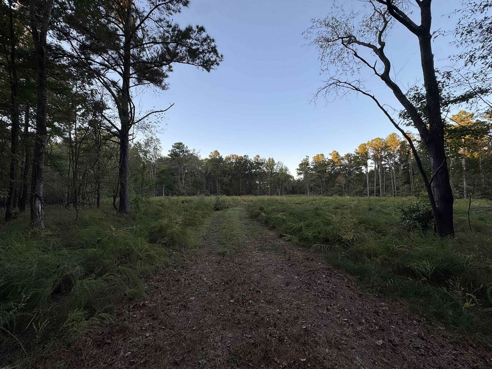 9.77 Acres of Residential Land for Sale in Eads, Tennessee