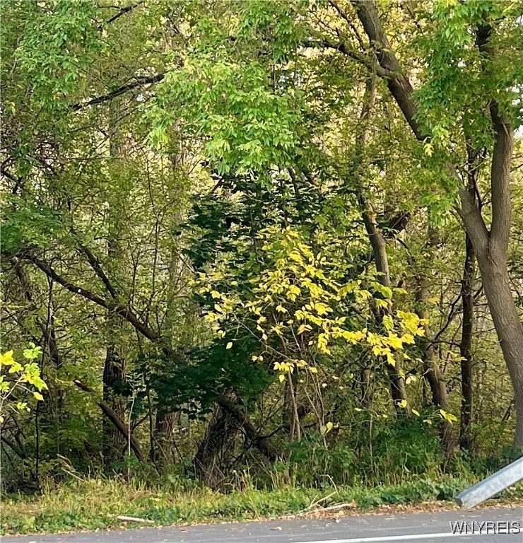 3 Acres of Land for Sale in Wilson, New York