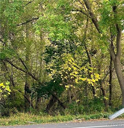 3 Acres of Land for Sale in Wilson, New York