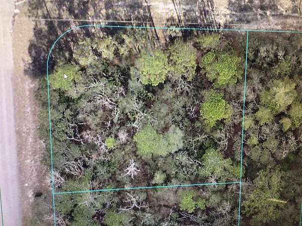 0.29 Acres of Residential Land for Sale in Ocala, Florida