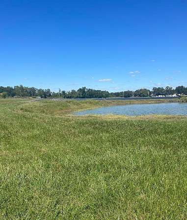 3.66 Acres of Residential Land for Sale in Dover, Florida