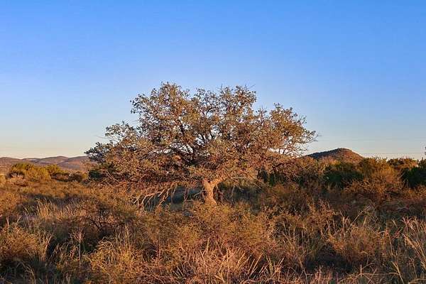 3.78 Acres of Residential Land for Sale in Alpine, Texas