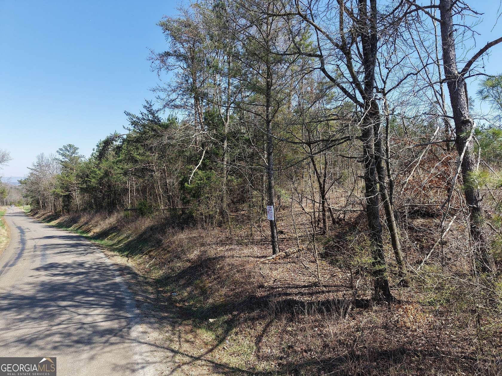 161 Acres of Recreational Land for Sale in Fairmount, Georgia