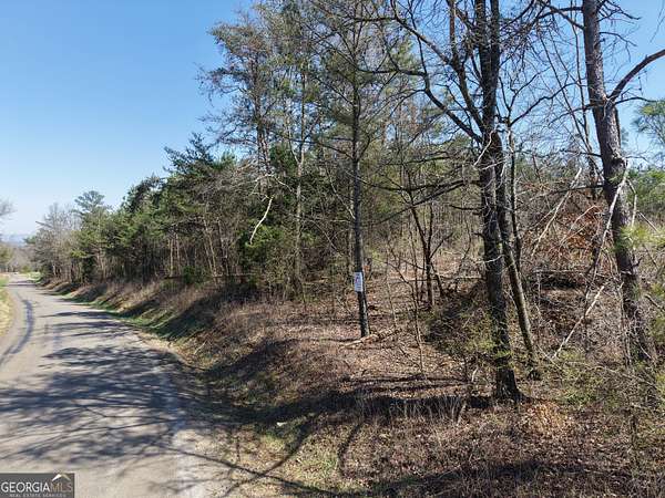 161 Acres of Recreational Land for Sale in Fairmount, Georgia