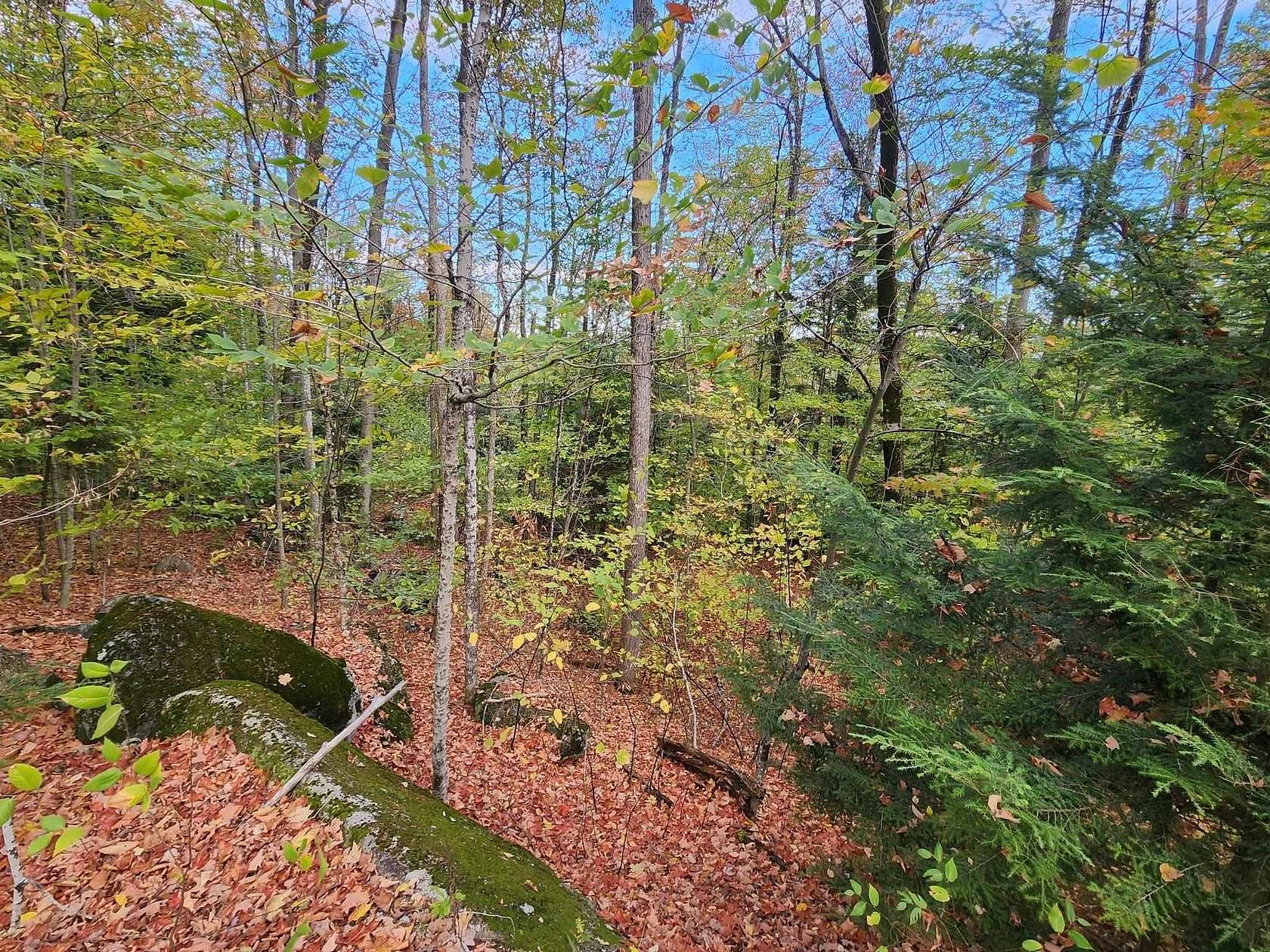 28.5 Acres of Recreational Land for Sale in Warner, New Hampshire