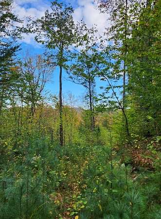 28.5 Acres of Recreational & Residential Land for Sale in Warner, New Hampshire
