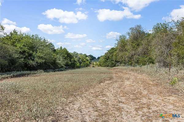 23 Acres of Recreational Land & Farm for Sale in Harwood, Texas