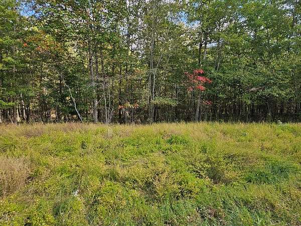 Land for Auction in Spencer, Tennessee