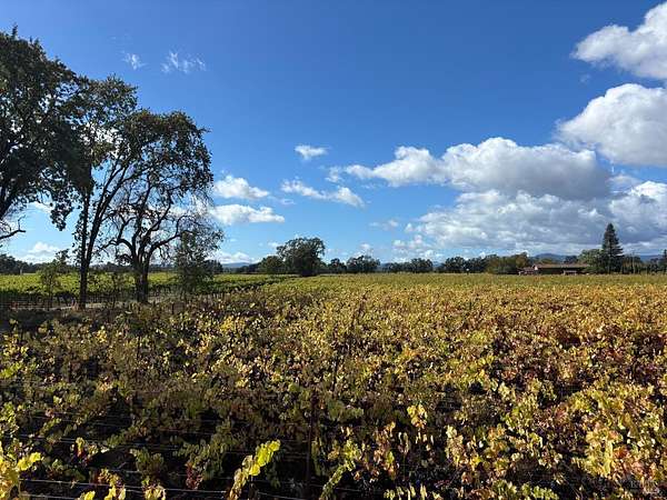 2.24 Acres of Residential Land for Sale in Fulton, California