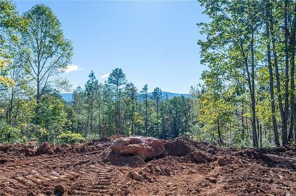 22.2 Acres of Land for Sale in Rydal, Georgia