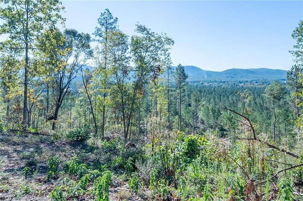 24.5 Acres of Land for Sale in Rydal, Georgia