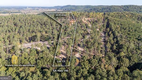 24.5 Acres of Land for Sale in Rydal, Georgia