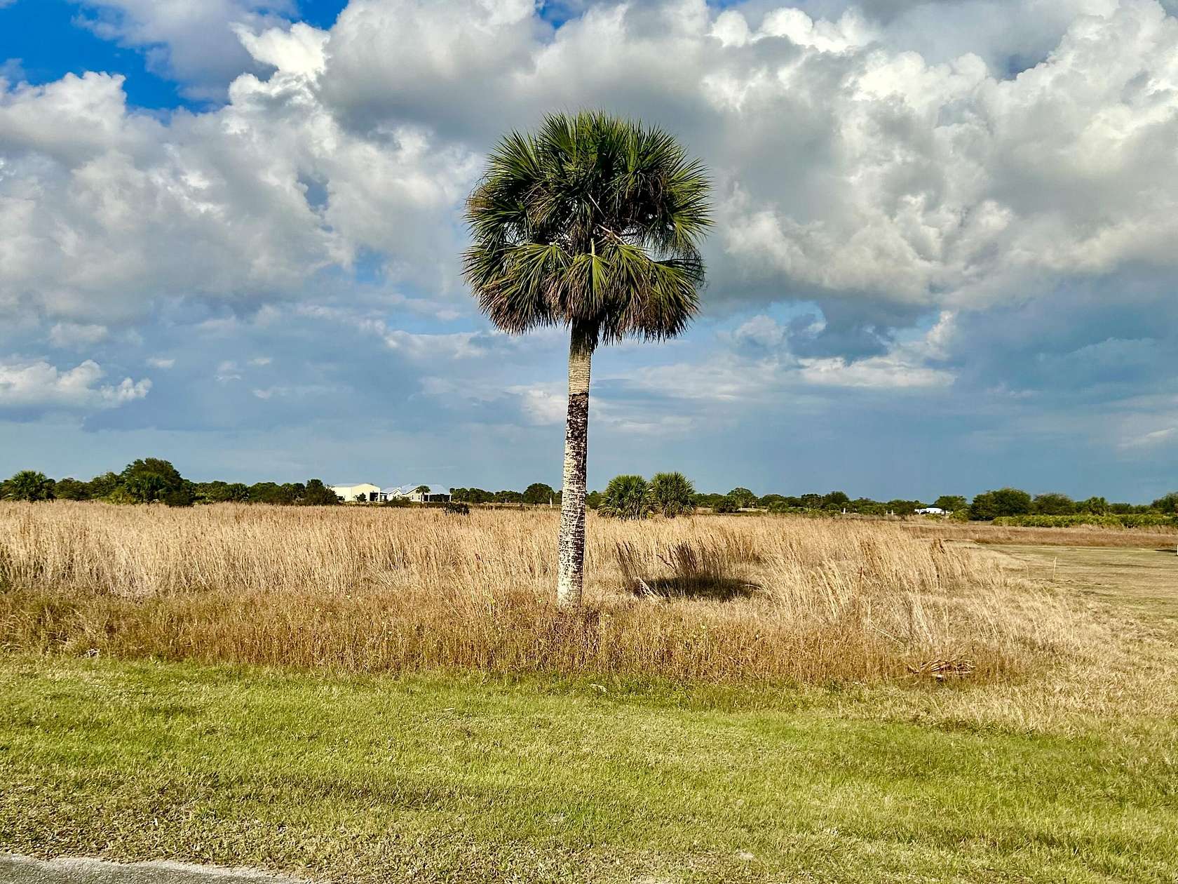 10.7 Acres of Land for Sale in Okeechobee, Florida
