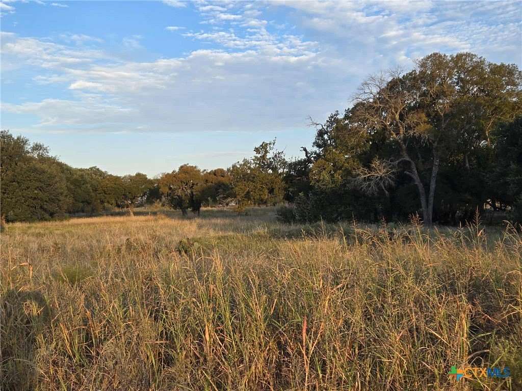 7.38 Acres of Residential Land for Sale in Oglesby, Texas