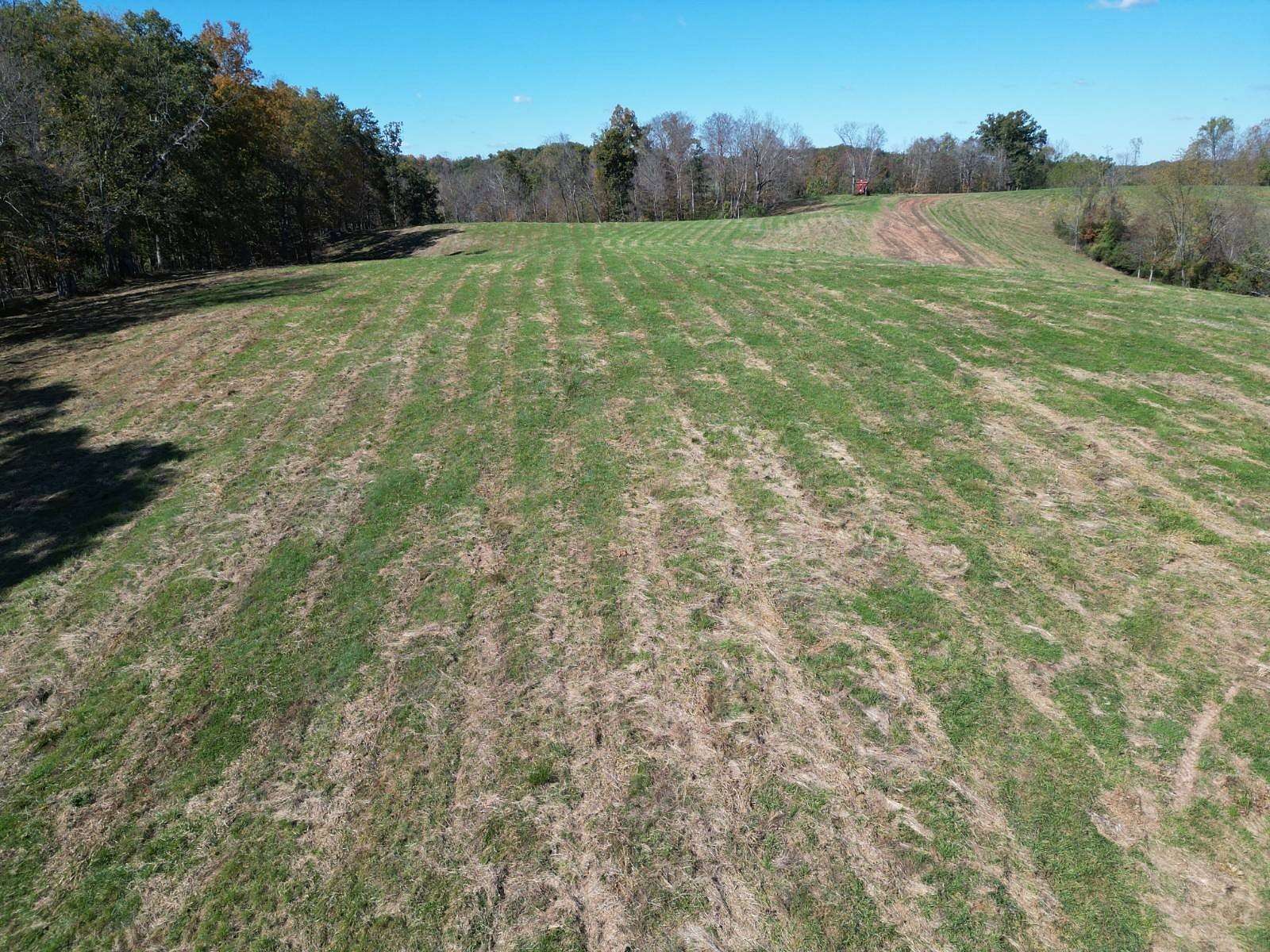 100 Acres of Land for Sale in Spencer, West Virginia