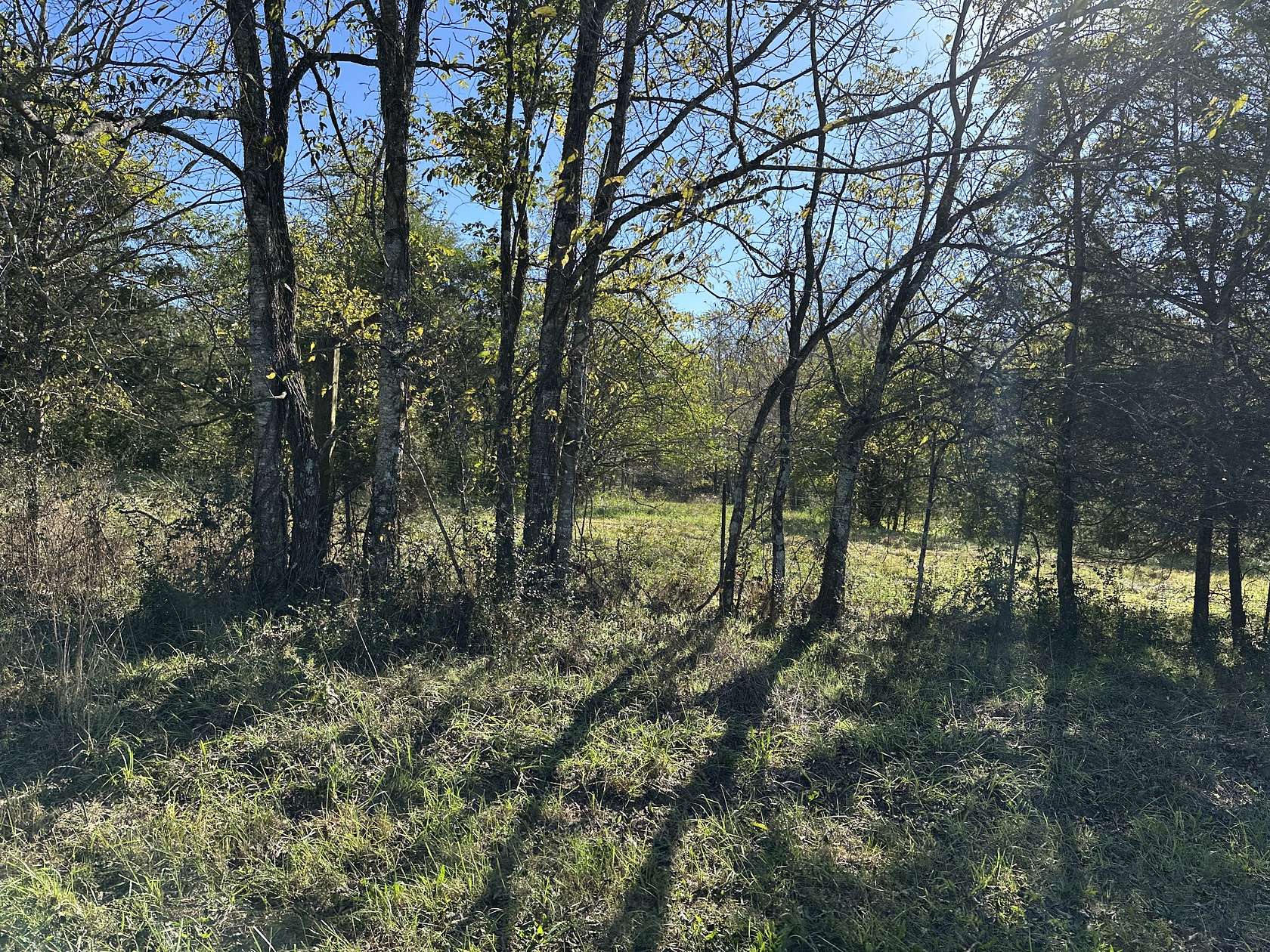13.2 Acres of Land for Sale in College Grove, Tennessee