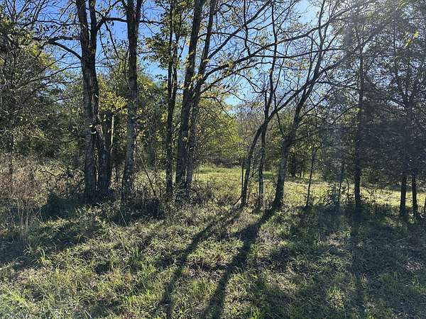 13.2 Acres of Land for Sale in College Grove, Tennessee