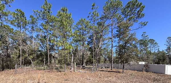 0.23 Acres of Land for Sale in Williston, Florida