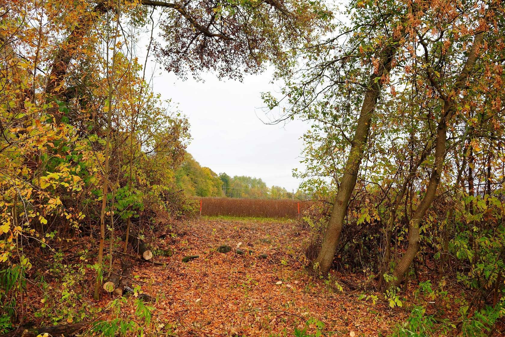 7.3 Acres of Residential Land for Sale in Waldo, Wisconsin