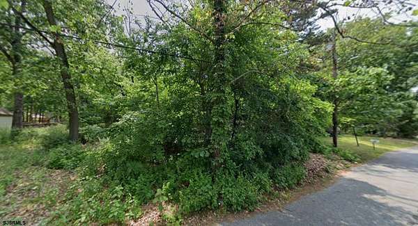 0.34 Acres of Residential Land for Sale in Pine Hill, New Jersey
