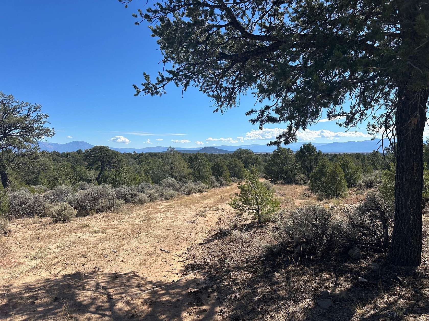 298 Acres of Land for Sale in Ojo Caliente, New Mexico