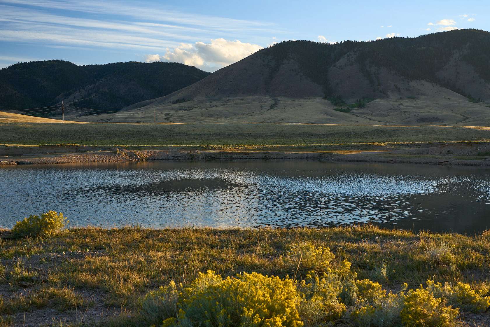 40 Acres of Recreational & Residential Land for Sale in Centennial, Wyoming