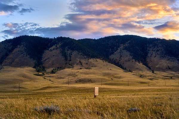 40 Acres of Recreational & Residential Land for Sale in Centennial, Wyoming