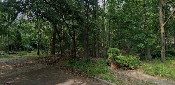 0.34 Acres of Residential Land for Sale in Pine Hill, New Jersey