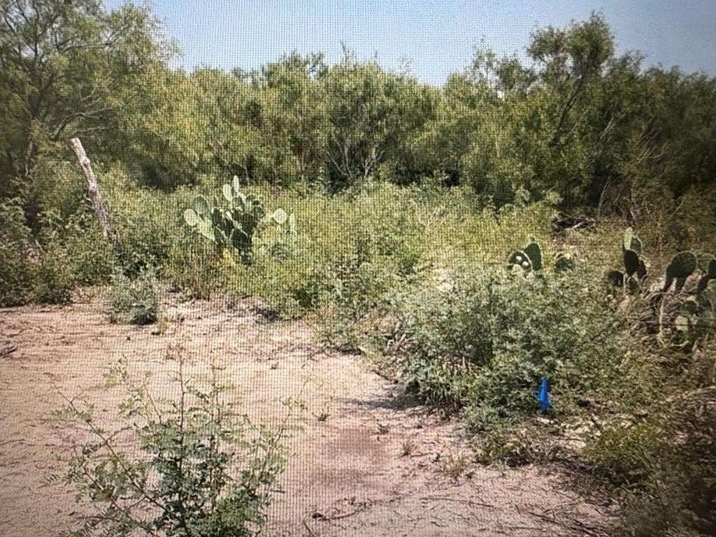 0.52 Acres of Residential Land for Sale in Eagle Pass, Texas