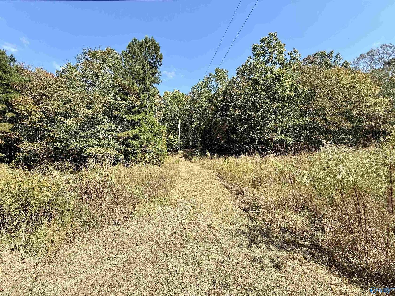 3.1 Acres of Residential Land for Sale in Leesburg, Alabama