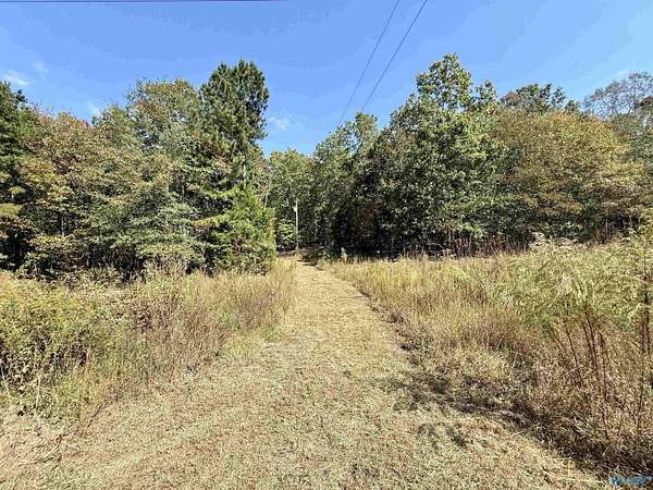 3.1 Acres of Residential Land for Sale in Leesburg, Alabama
