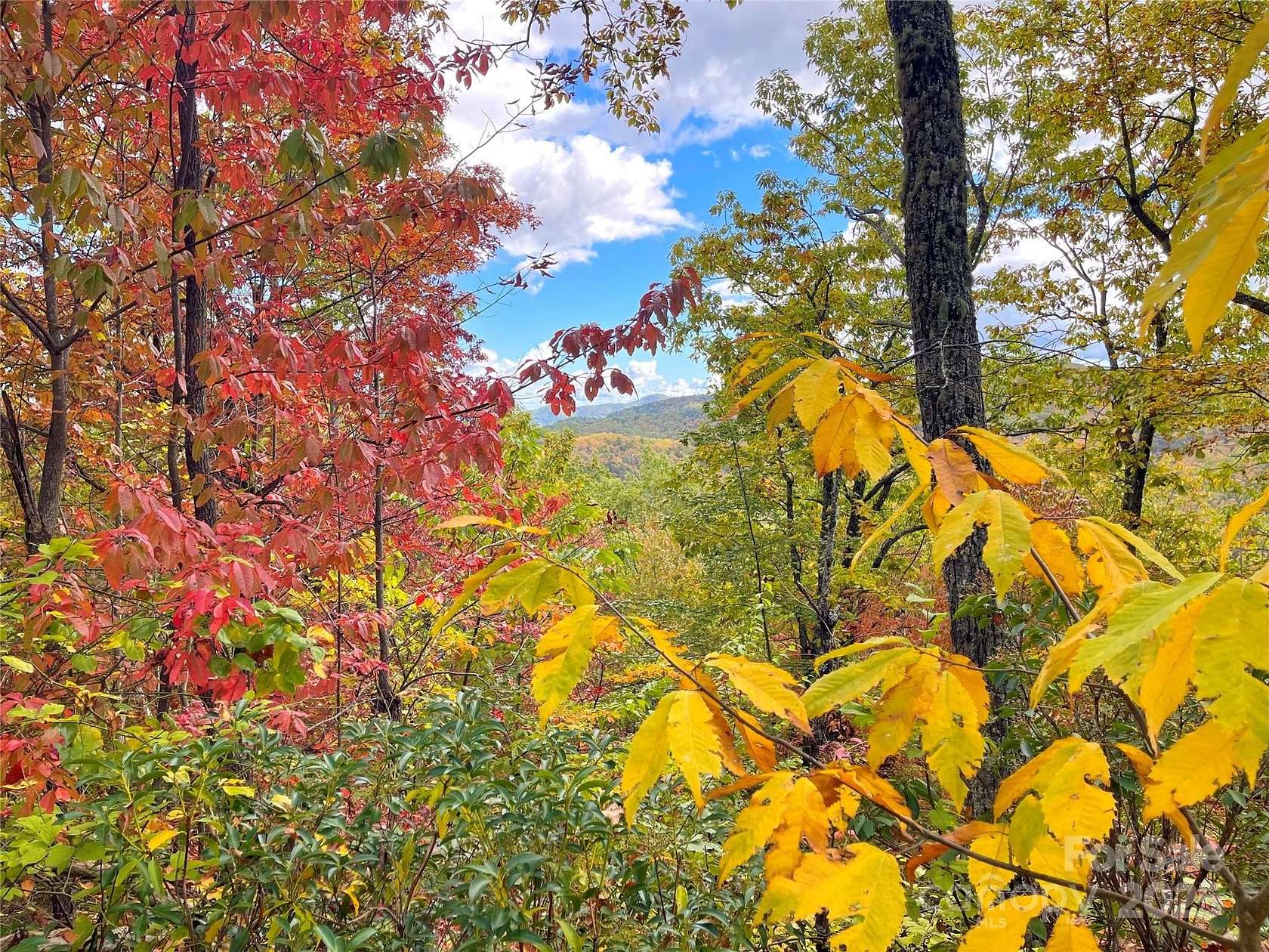 2.7 Acres of Residential Land for Sale in Black Mountain, North Carolina
