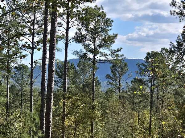 24.1 Acres of Land for Sale in Rydal, Georgia