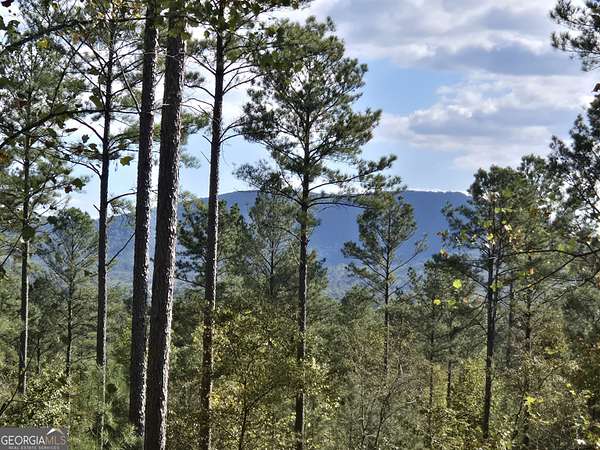 24.1 Acres of Land for Sale in Rydal, Georgia