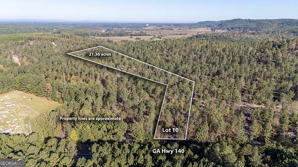 21.4 Acres of Land for Sale in Rydal, Georgia