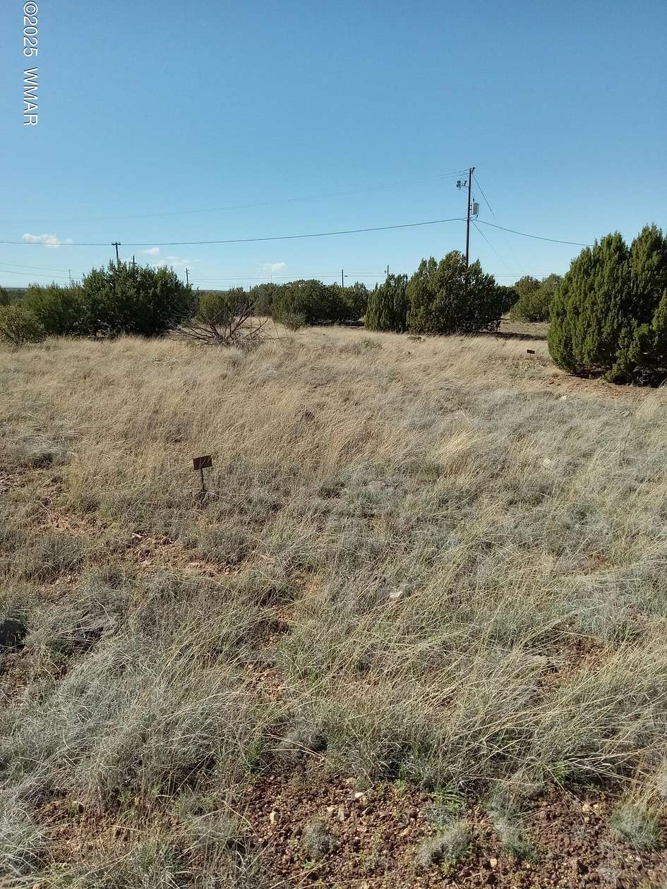 0.21 Acres of Residential Land for Sale in Show Low, Arizona