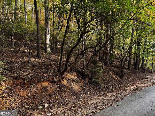 7.19 Acres of Residential Land for Sale in Sautee-Nacoochee, Georgia