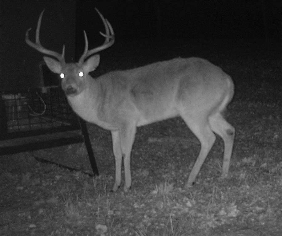 28.2 Acres of Recreational Land & Farm for Sale in Ringgold, Texas