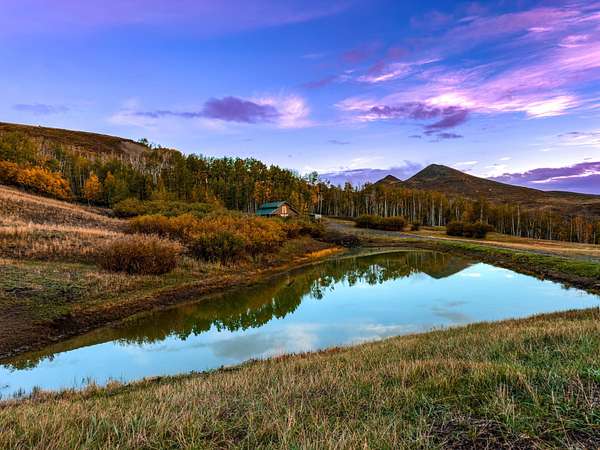 76 Acres of Recreational Land & Farm for Sale in Ridgway, Colorado