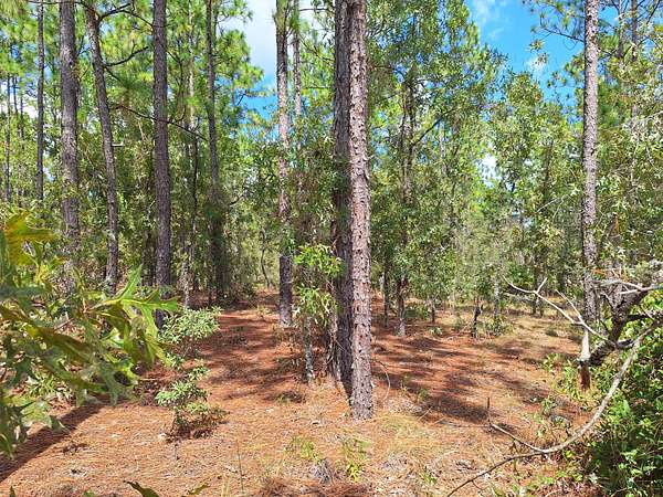 1.6 Acres of Residential Land for Sale in Ocala, Florida
