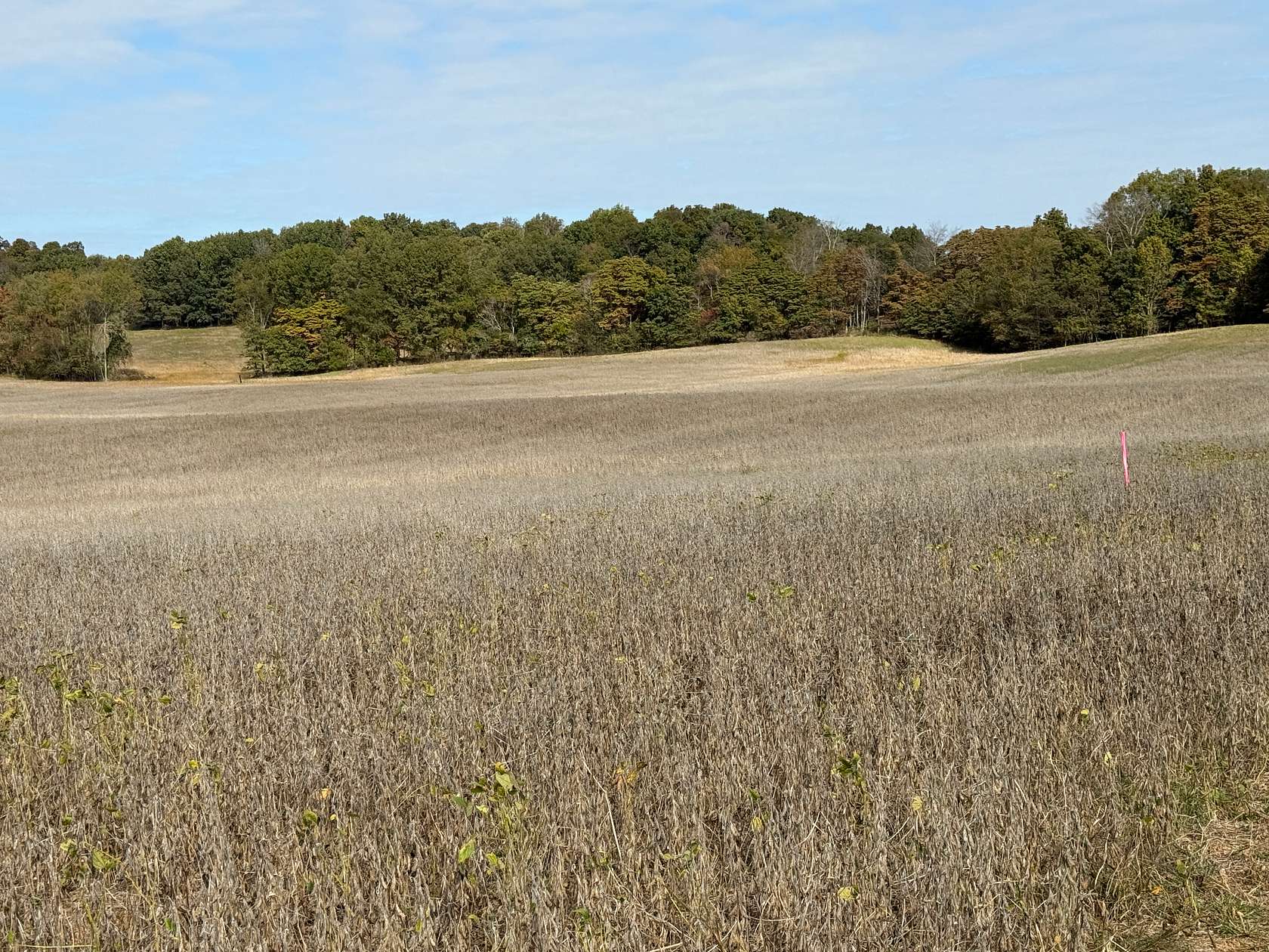 56 Acres of Land for Auction in Bowling Green, Kentucky