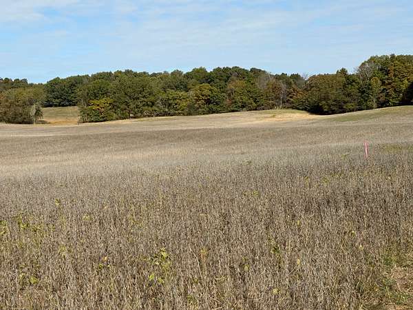 56 Acres of Land for Auction in Bowling Green, Kentucky