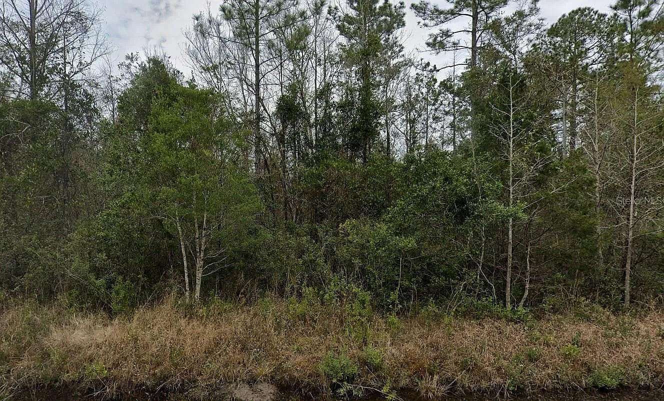 1.14 Acres of Residential Land for Sale in Hastings, Florida